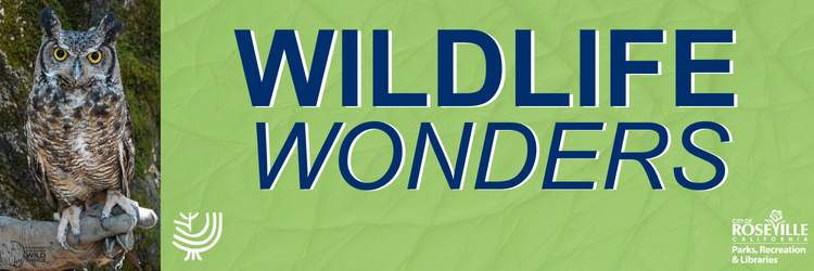 A great horned owl sits perched on a handler's gloved hand. Wildlife Wonders. Logos for Maidu Museum & City of Roseville Parks, Recreation, and Libraries. 